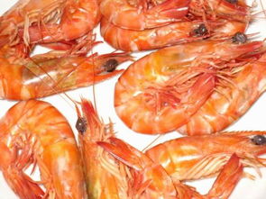 早上买的鲜虾放在袋子里忘记保鲜 晚上发现虾变红了有臭味 还能吃吗 