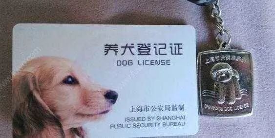 上海实施 史上最严 养犬条例,人们却纷纷点赞