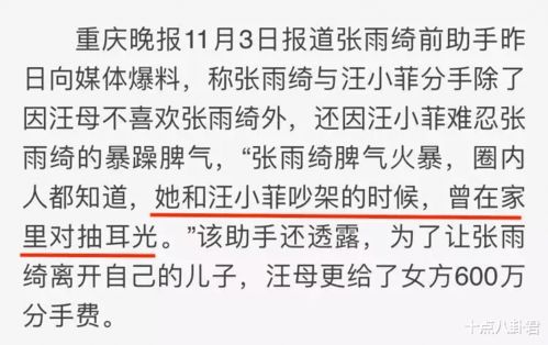 暴力御姐 张雨绮,和她生命中的4个男人,哪个男人伤她最深