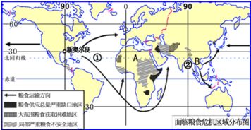 世界五大粮食出口国出口什么最多？