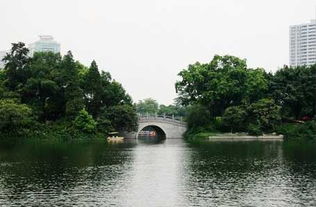 荔湾湖公园荔湾湖公园附近美食(荔湾湖免费停车场)