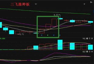 涨停是否可以追买入？