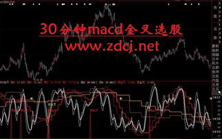 求macd30分钟金叉选股公式，我想要的只是选股公式哦