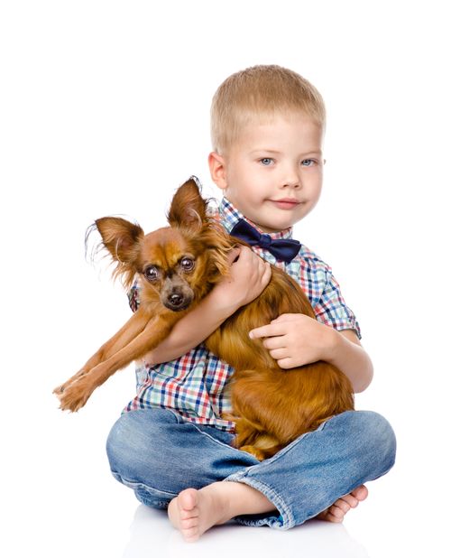 抱着小狗的小男孩高清图片素材 海报和主图 
