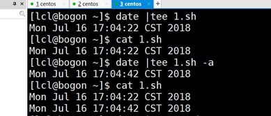 Linux学习笔记之九 命名管道,作业管理以及存储管理上