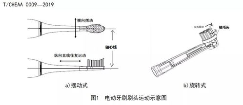 电动牙刷产品结构介绍及设计实例