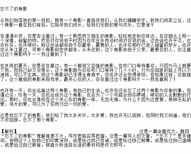 动作描写细致的句子