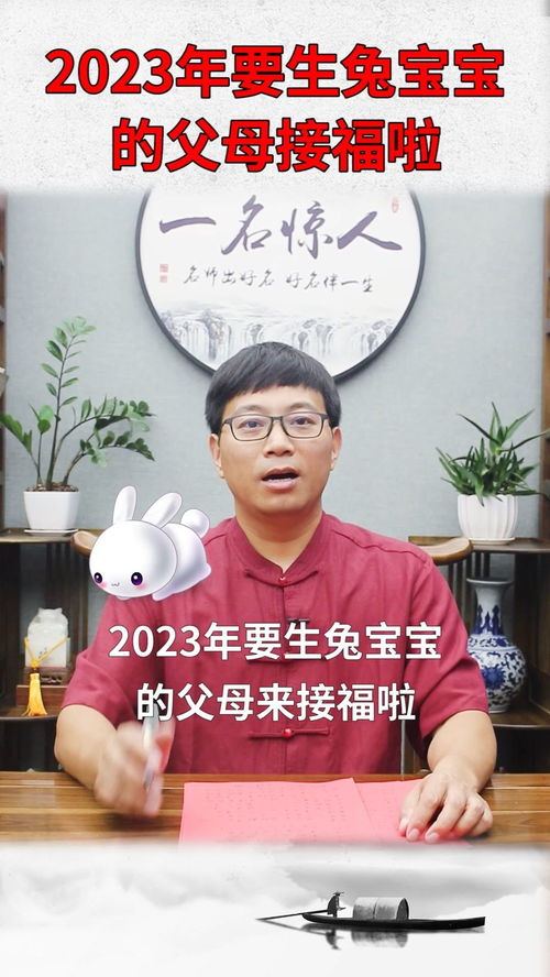 2023年兔宝宝姓名测试打分