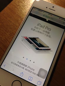 刚买没多久的iPhone进水了有必要修吗 