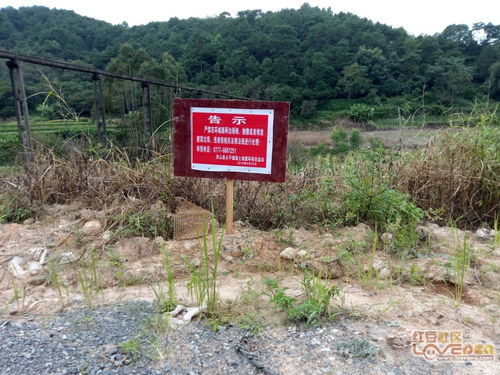 灵山县太平镇新的垃圾控填埋场 