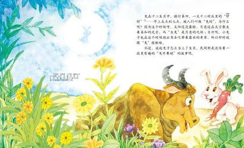 兔对应哪个时辰 绘本中华故事 十二生肖 兔 生肖文化知识
