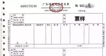 运输发票如何输入网上电子报税系统