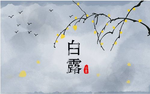 白露时候的气温(2020年白露气温大概多少度)