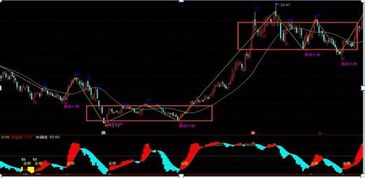 第一次如何买股票？我刚开了户。启动资金5000，有理财师请进来~！