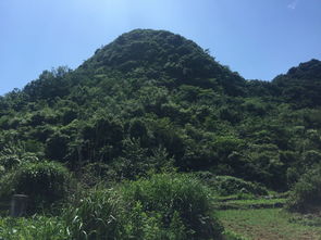 贵州贵阳风水宝地木星贵人穴,风水大师王君植燕村寻龙点穴看风水阴宅坟墓墓地