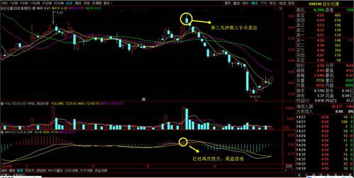 短线选股公式