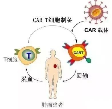 在新冠肺炎期间国外贫穷老百姓到底是全体免疫好还是封闭一切好