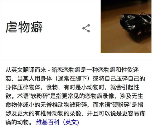 没有动保法,我们该怎么追究虐宠者的法律责任