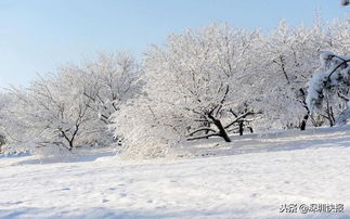 关于大雪比较伤感的诗句