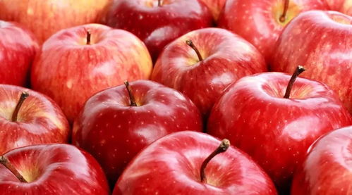晚上吃苹果是 毒苹果 关于苹果的五大传言