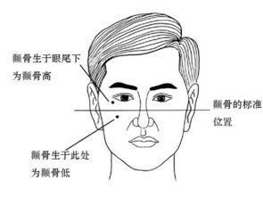 这种男人有富贵相 