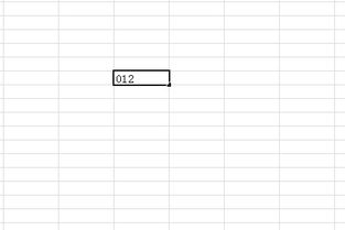 excel里面第一位数字为0,输不进去是怎么回事 