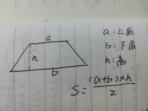 求梯形面积的公式(求梯形面积的公式是)