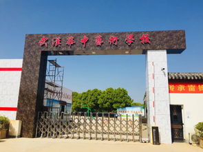 武汉市艺术学校是公立学校还是私立学校呢