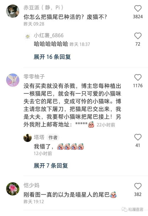 假期的情侣主题酒店有多刺激 女朋友 深海风就尼玛离谱