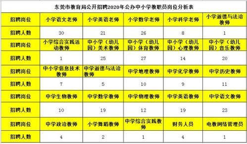 考东莞教师必看 2020东莞教师招聘考情分析