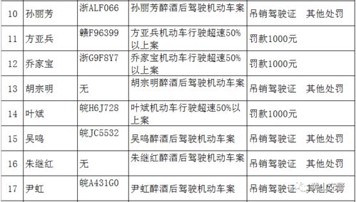 河南省交通违章编码代表那条路