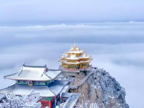 帝都洛阳洛邑古城,丽景门,峰林仙境老君山 鸡冠洞纯玩三日游