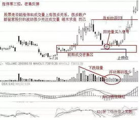 7个涨停板翻陪那10陪是怎样算岀来的