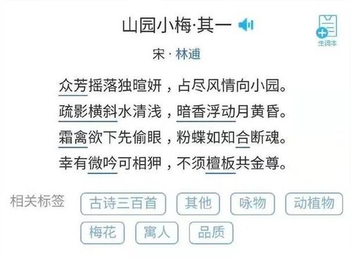 江疏影被韩网友质疑,为啥起 韩国名字 她仅用两句诗词回复