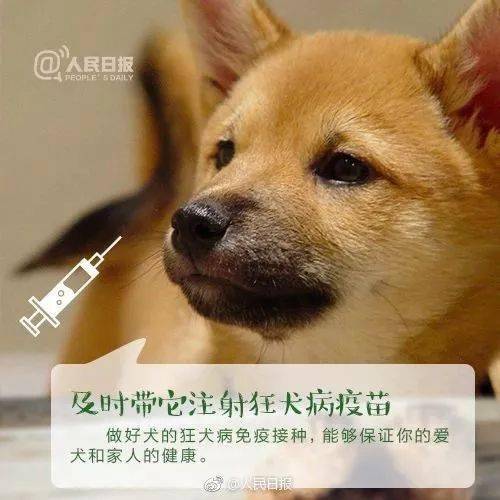 关于明确汝州市禁养犬只种类及限养区域的通告