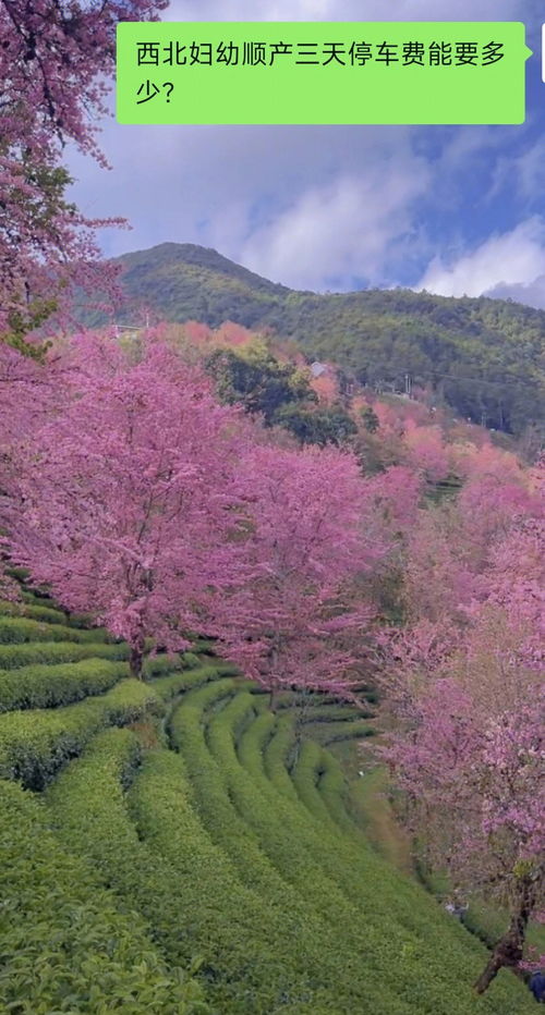 住院还要交停车费吗(西北妇幼保健院住院停车场免费吗)