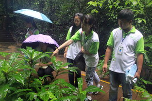 守护那一片绿色的雨林梦 搜狐旅游 搜狐网 