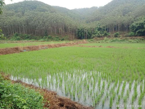 建设美丽乡村 垦造水田篇 126