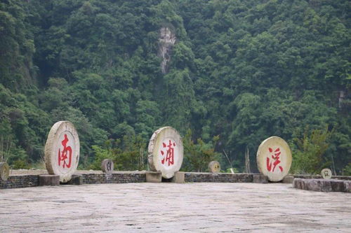 浙江泰顺 水生态 孕育 水经济