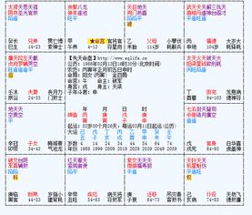 求问 紫薇斗数排盘详解 