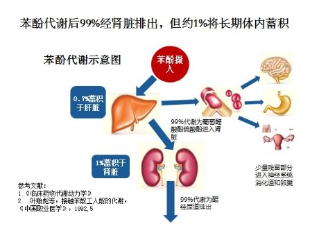 What 听说打生长激素会得骨质疏松 真相来了