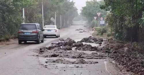 珠海这条路出现一滩污泥 过路小车纷纷遭殃 交警急查监控发现