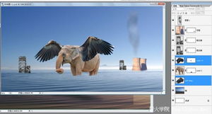 Photoshop合成教程 给大象加上会飞的翅膀 6 