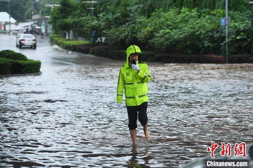 重庆民警赤脚积水道路中疏导交通