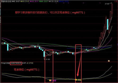 明天(May-13-2009)买什么股票好，我要满仓。介绍下