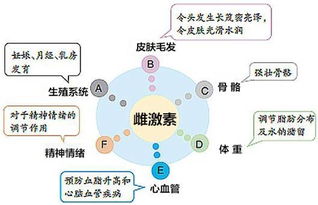 身体湿气重如何自查？这些信号告诉你答案