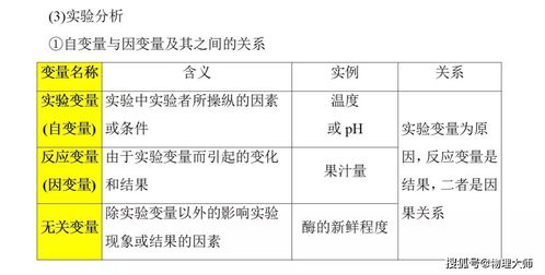 论文修改助手 维普网论文修改助手一通行证 比知网 