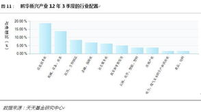 我买的基金是华夏优势和鹏华价值基金，准备最少买9年，谁能帮着分析一下，怎么样，分红方式应该是哪一个好！