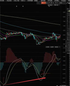 在炒股中，怎么看macd指标，他是用来干什么的？