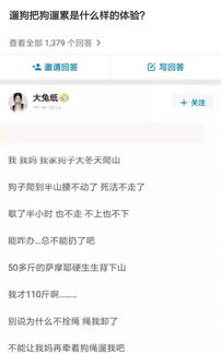 自从养了狗,腰不酸,腿不疼,一口气上十几层楼也不是问题 那条狗 